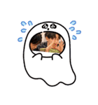 百田！難波！（個別スタンプ：16）