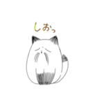 ふくふくねこ1（個別スタンプ：18）