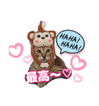 猫スタンプ❤️キジトラ❤️ミケ❤️（個別スタンプ：6）