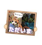 猫スタンプ❤️キジトラ❤️ミケ❤️（個別スタンプ：10）