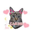 猫スタンプ❤️キジトラ❤️ミケ❤️（個別スタンプ：13）