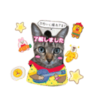 猫スタンプ❤️キジトラ❤️ミケ❤️（個別スタンプ：15）
