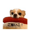 クマとタラの日常（個別スタンプ：5）