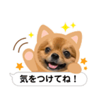 クマとタラの日常（個別スタンプ：7）