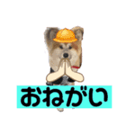 秋田犬ふふ村の迷言（個別スタンプ：4）