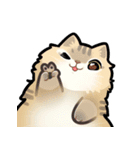 Ru's Piano − RuRu ＆ 3 Cats Vol.2（個別スタンプ：7）