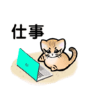 砂漠にいそうな猫さん4（個別スタンプ：23）