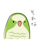 CAP！な鳥たち（個別スタンプ：14）