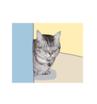 イケ猫バロンの男気スタンプほぼ天然（個別スタンプ：6）