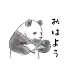 パンダとコアリクイの詰合せ【秋風味】（個別スタンプ：1）