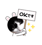 きゃらぶき（個別スタンプ：4）