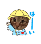 きゃらぶき（個別スタンプ：5）