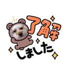 きゃらぶき（個別スタンプ：9）