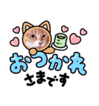 きゃらぶき（個別スタンプ：11）