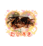 きゃらぶき（個別スタンプ：13）