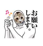きゃらぶき（個別スタンプ：18）