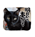 きゃらぶき（個別スタンプ：22）
