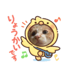 きゃらぶき（個別スタンプ：24）