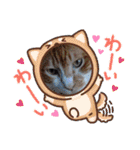 きゃらぶき（個別スタンプ：26）