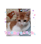 きゃらぶき（個別スタンプ：27）