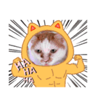 きゃらぶき（個別スタンプ：29）