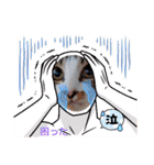きゃらぶき（個別スタンプ：30）