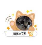 きゃらぶき（個別スタンプ：32）