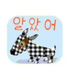 毎日使用、犬のイラスト 日本語韓国語英語（個別スタンプ：6）