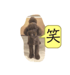 ひじきさんとゆかいな家族 vol.6（個別スタンプ：1）