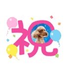 ひじきさんとゆかいな家族 vol.6（個別スタンプ：3）