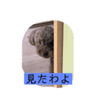 ひじきさんとゆかいな家族 vol.6（個別スタンプ：4）