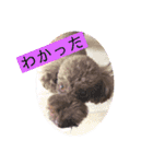 ひじきさんとゆかいな家族 vol.6（個別スタンプ：5）