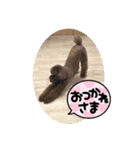 ひじきさんとゆかいな家族 vol.6（個別スタンプ：11）