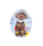 ひじきさんとゆかいな家族 vol.6（個別スタンプ：12）