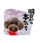 ひじきさんとゆかいな家族 vol.6（個別スタンプ：14）