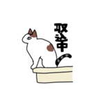 おれ、ねこのなつめ2（個別スタンプ：12）