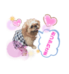 マルスFamily 2（個別スタンプ：1）