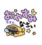 パグの歳三ドラゴンタイガー2（個別スタンプ：7）