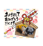 パグの歳三ドラゴンタイガー2（個別スタンプ：32）