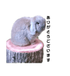 うさぎカップルのモモとちょうすけ（個別スタンプ：2）