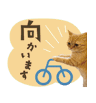 ぼうのニャンニャン！毎日スタンプ（個別スタンプ：28）