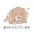 Dogs まったりな犬たち 3_Brown（個別スタンプ：1）