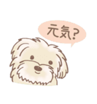 Dogs まったりな犬たち 3_Brown（個別スタンプ：8）