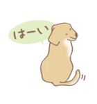 Dogs まったりな犬たち 3_Brown（個別スタンプ：9）