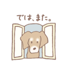 Dogs まったりな犬たち 3_Brown（個別スタンプ：13）