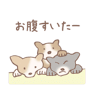 Dogs まったりな犬たち 3_Brown（個別スタンプ：21）