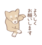 Dogs まったりな犬たち 3_Brown（個別スタンプ：25）