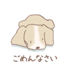 Dogs まったりな犬たち 3_Brown（個別スタンプ：28）