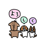 ダックス みみ子（個別スタンプ：13）