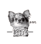 うにちゃんと、ほたてくん。（個別スタンプ：7）